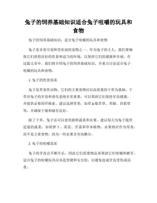 兔子的饲养基础知识适合兔子咀嚼的玩具和食物