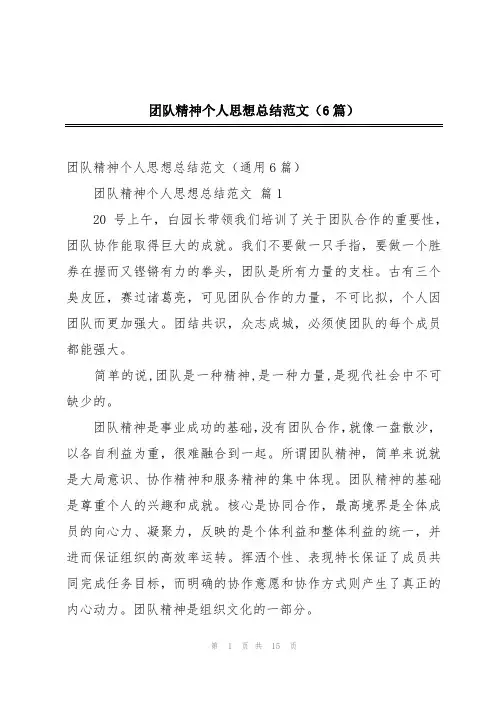 团队精神个人思想总结范文(6篇)