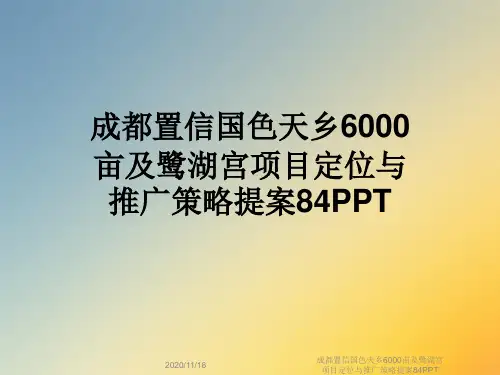 成都置信国色天乡6000亩及鹭湖宫项目定位与推广策略提案84PPT