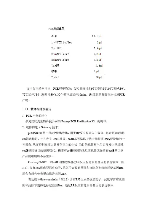 Gateway反应体系