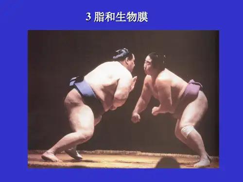 脂类的化学和生物膜