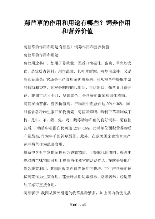 菊苣草的作用和用途有哪些？饲养作用和营养价值