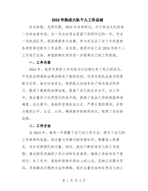 2024年执法大队个人工作总结