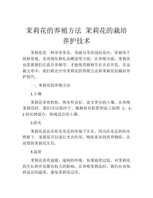 茉莉花的养殖方法 茉莉花的栽培养护技术