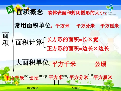 面积和面积单位复习