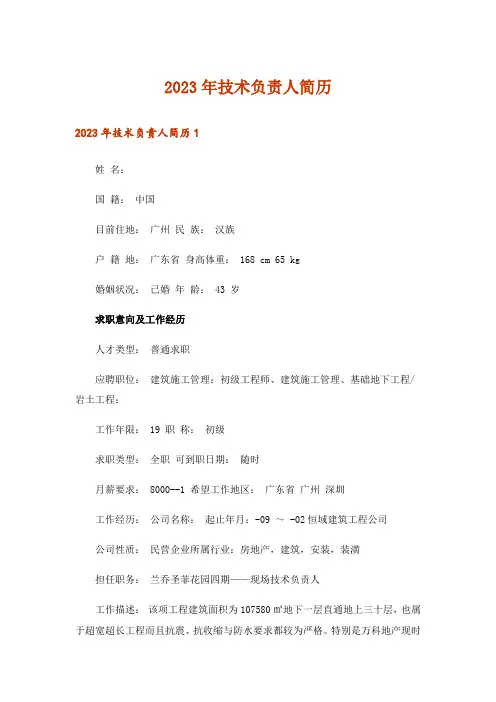 2023年技术负责人简历