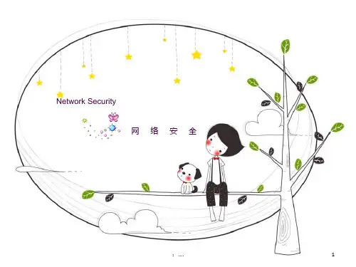 网络安全(英语版)ppt课件