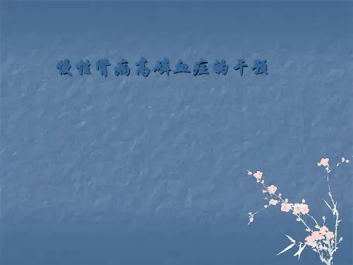 慢性肾病高磷血症ppt课件