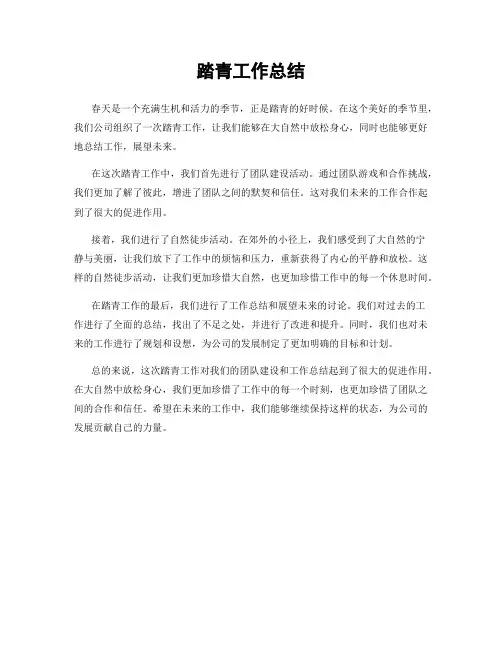 踏青工作总结