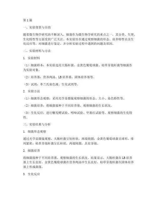 细菌实验报告分析讨论(3篇)