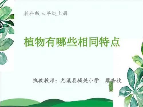 教科版教材《植物有哪些相同特点》优质教学PPT1