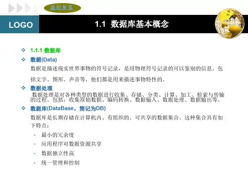 Access第一章 数据库基础知识