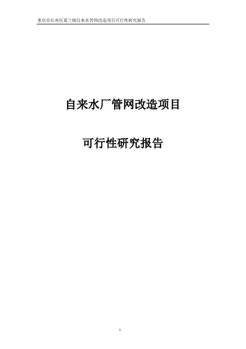 自来水厂管网改造项目可行性研究报告