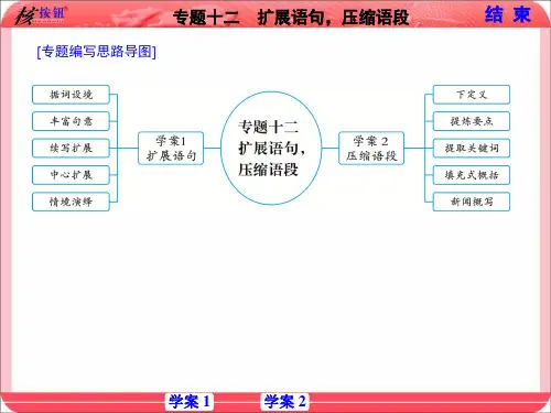 【课标版】2021高考语文复习核按钮 专题十二 扩展语句 压缩语段