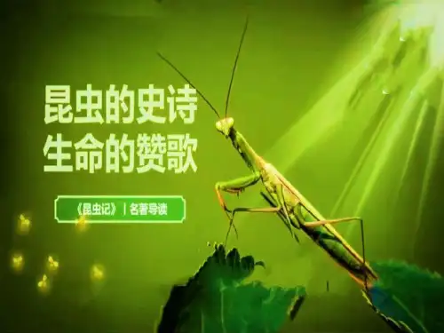 2023-2024学年八年级语文上册(统编版)名著导读《昆虫记》课件(共56张PPT)