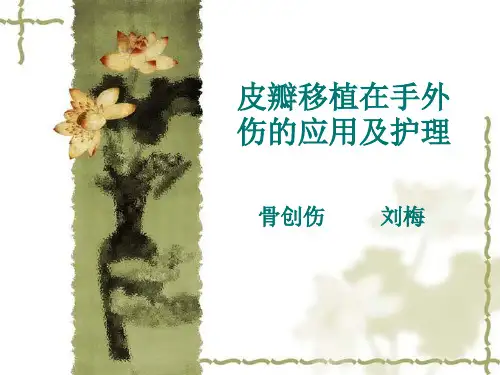 皮瓣护理精品PPT课件