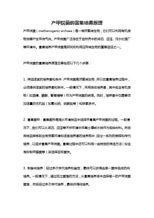 产甲烷菌的富集培养原理