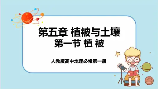 配套新教材-高中地理-人教版-必修第一册-第五章  第一节  植被