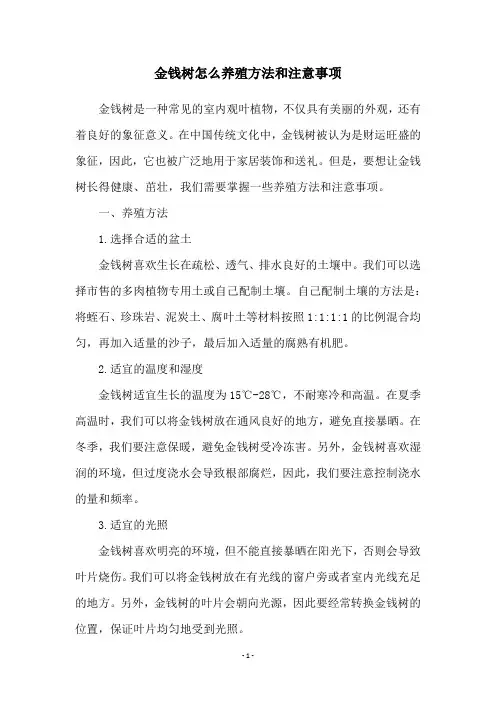 金钱树怎么养殖方法和注意事项