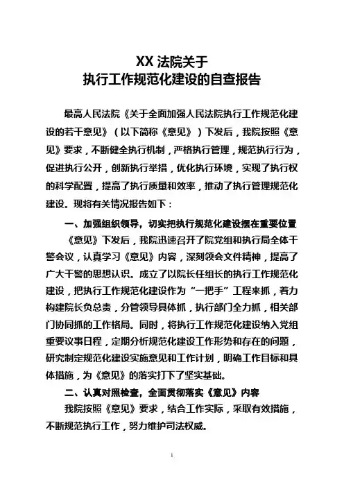 XX法院关于执行工作规范化建设的自查报告