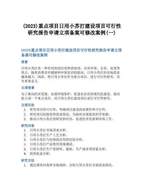 (2023)重点项目日用小苏打建设项目可行性研究报告申请立项备案可修改案例(一)