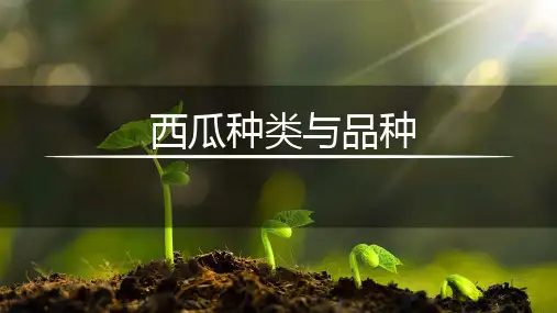 西瓜种类与品种课件(共23张PPT)《蔬菜生产技术》同步教学(湖南科技出版社)