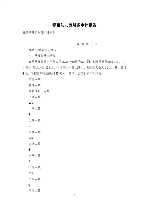 春蕾幼儿园财务审计报告