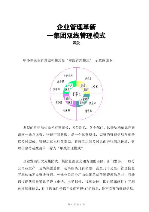 企业管理革新 集团双线管理模式