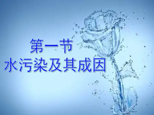 《水污染及其成因》公开课PPT