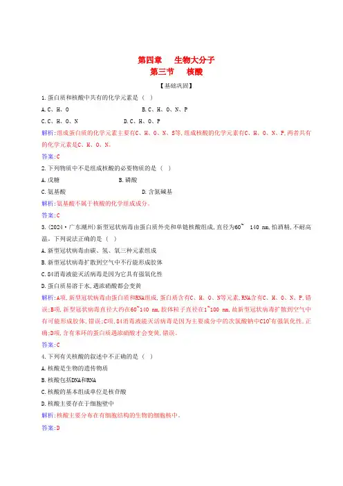 新教材2024高中化学第四章生物大分子第三节核酸同步测试新人教版选择性必修3
