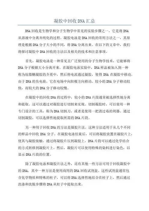 凝胶中回收DNA汇总