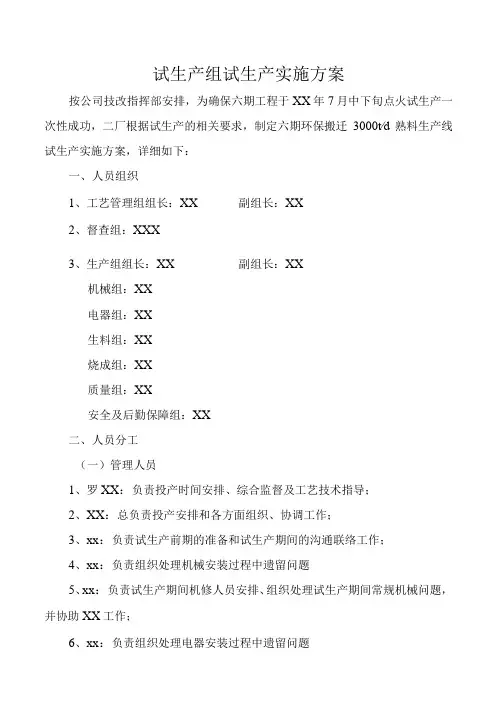 试生产组试生产实施方案