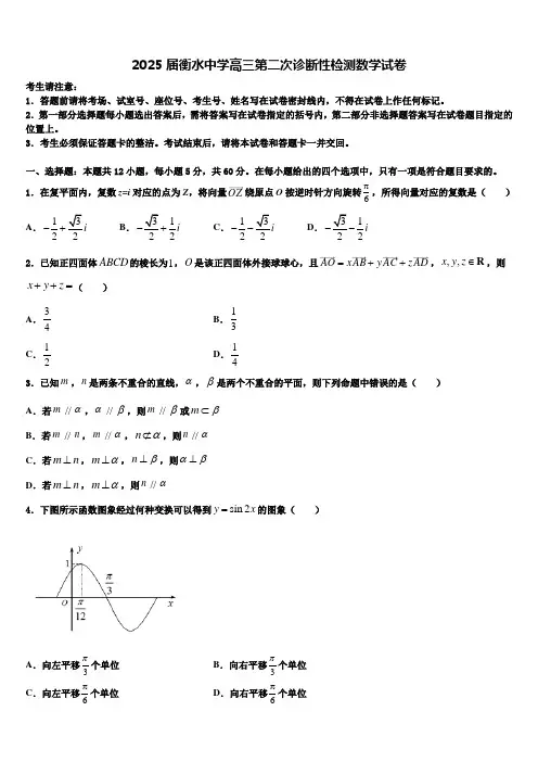 2025届衡水中学高三第二次诊断性检测数学试卷含解析