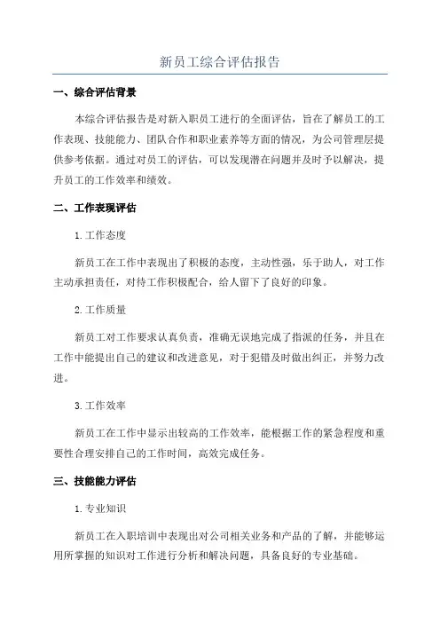 新员工综合评估报告