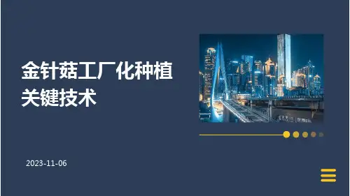 金针菇工厂化种植关键技术