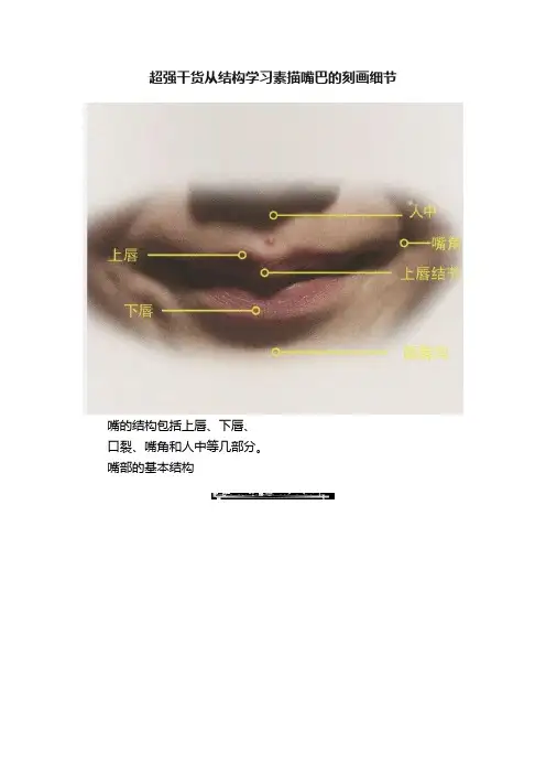 超强干货从结构学习素描嘴巴的刻画细节