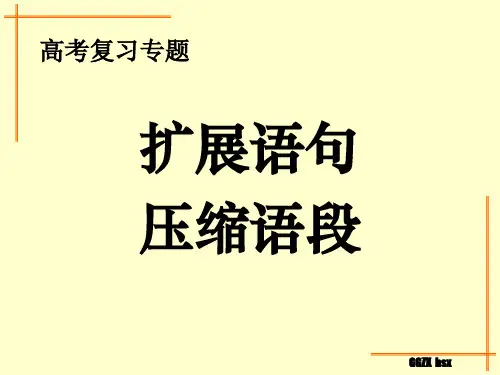 扩展语句_压缩语段(完整)