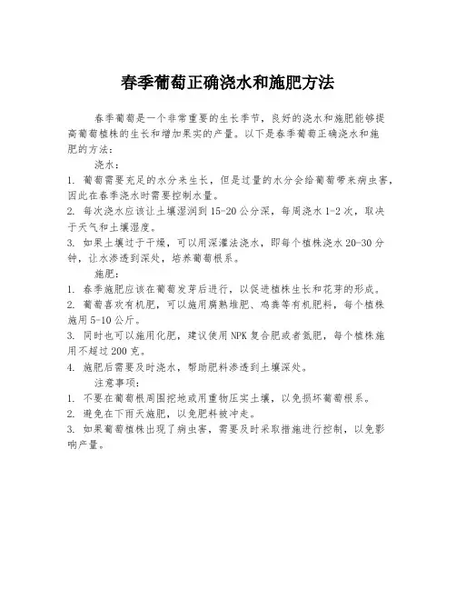 春季葡萄正确浇水和施肥方法