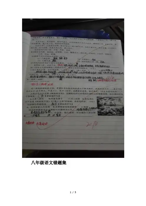 八年级语文错题集
