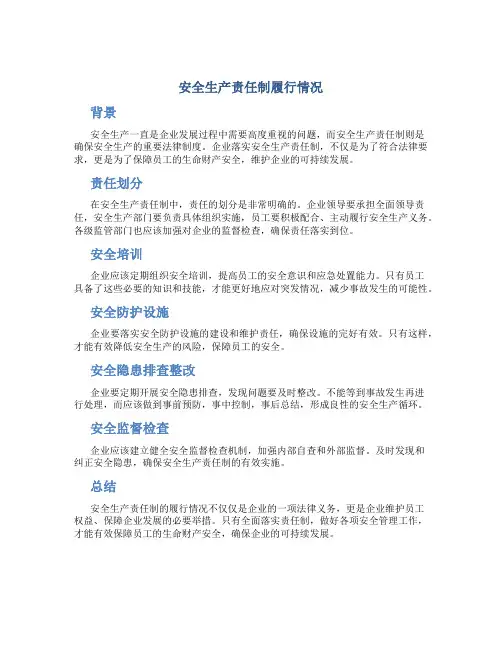 安全生产责任制履行情况