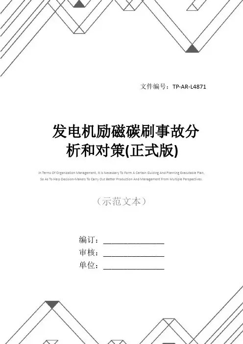 发电机励磁碳刷事故分析和对策(正式版)