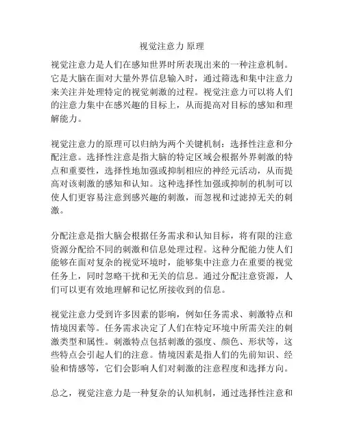 视觉注意力 原理