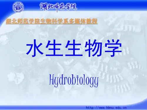 1_藻类概述_HJJ