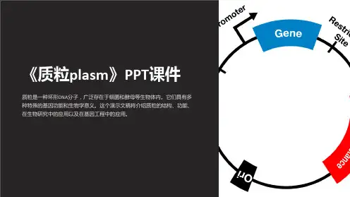 《质粒plasm》课件