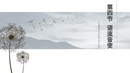《普通话语音训练》第三章 第四节  语流音变