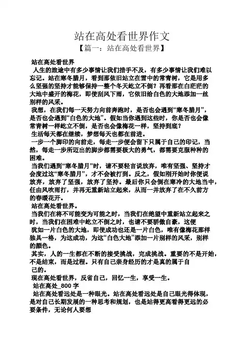 作文范文之站在高处看世界作文