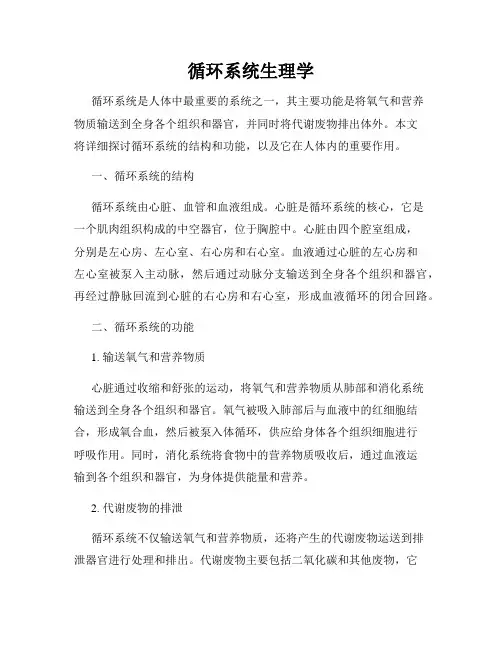 循环系统生理学