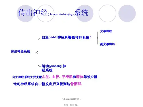 传出神经系统药理图文课件