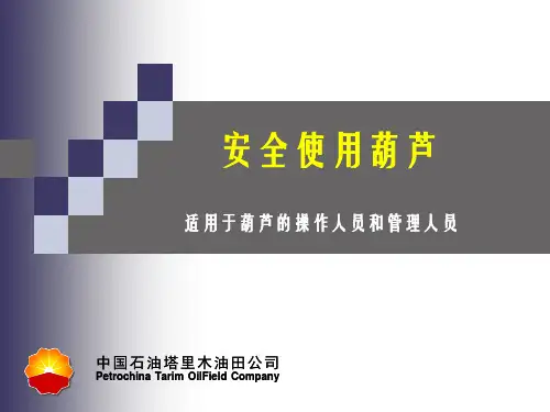 安全使用葫芦培训课件适用于葫芦的操作人员和管理人员