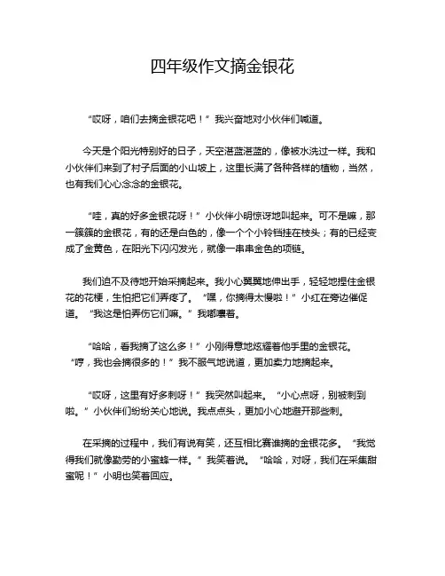 四年级作文摘金银花